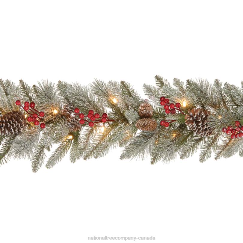 H4X0405National Tree Company Pre-Lit Artificial Christmas Garland, Green, Snowy Bristle Berry, White Lights, Decorated With Pine Cones, Berry Clusters, Plug In, Christmas Collection, 9 Feet