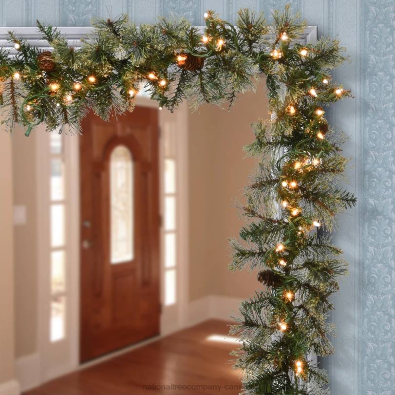 H4X0406National Tree Company Pre-Lit Artificial Christmas Garland, Green, Golden Bristle, White Lights, Decorated With Pine Cones, Plug In, Christmas Collection, 9 Feet
