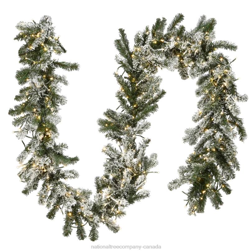 H4X0424National Tree Company Pre-Lit Artificial Christmas Garland, Green, Snowy Green, White Lights, Decorated With Frosted Branches, Plug In, Christmas Collection, 9 Feet