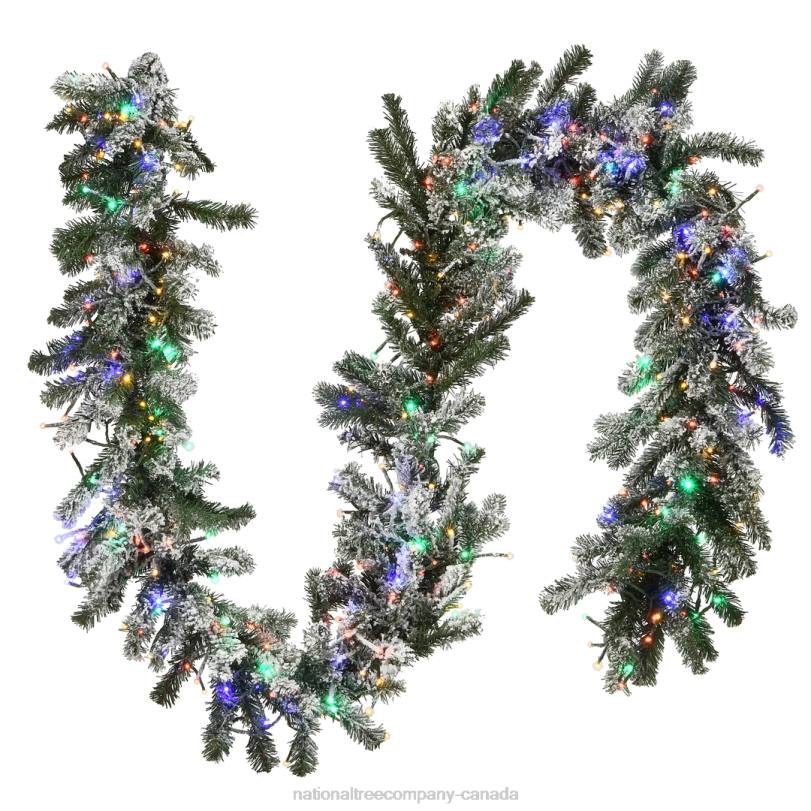 H4X0424National Tree Company Pre-Lit Artificial Christmas Garland, Green, Snowy Green, White Lights, Decorated With Frosted Branches, Plug In, Christmas Collection, 9 Feet