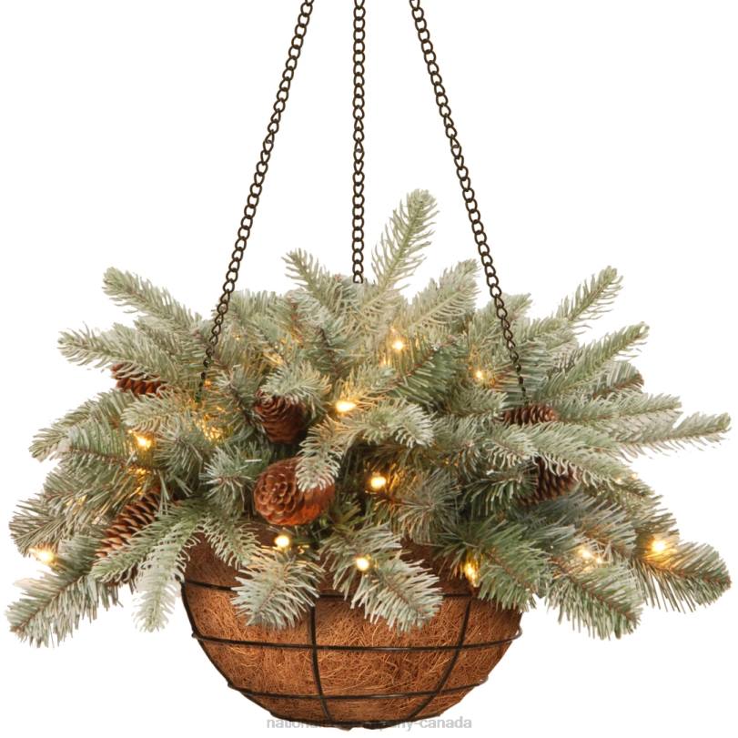 H4X0435National Tree Company Pre-Lit 'Feel Real' Artificial Christmas Hanging Basket, Arctic Spruce, Decorated With Frosted Pine Cones, White Lights, Christmas Collection, 20 Inches
