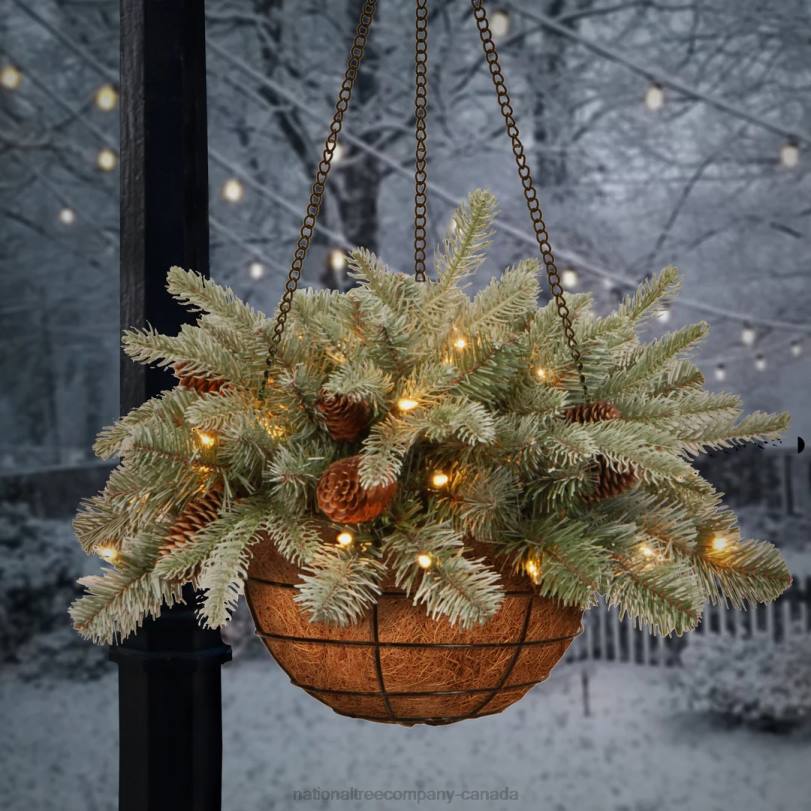 H4X0435National Tree Company Pre-Lit 'Feel Real' Artificial Christmas Hanging Basket, Arctic Spruce, Decorated With Frosted Pine Cones, White Lights, Christmas Collection, 20 Inches