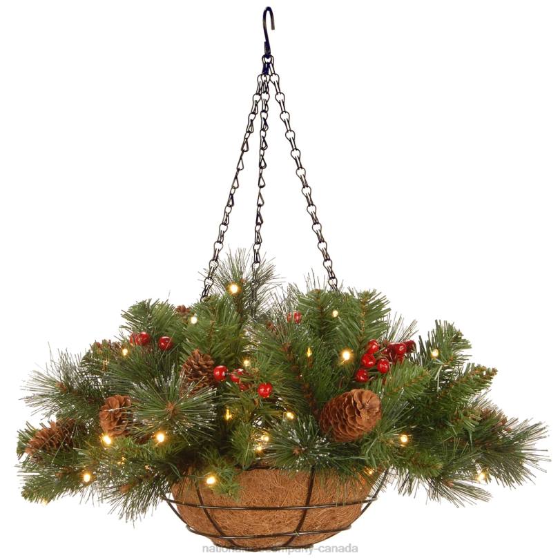 H4X0436National Tree Company Pre-Lit Artificial Hanging Basket Crestwood Spruce with Battery Powered Operated LED Lights, with Warm White LED Lights, Battery Powered, Christmas Collection, 16 in