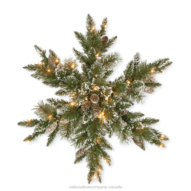H4X0440National Tree Company Pre-Lit Artificial Christmas Star Wreath, Green, Glittery Bristle Pine, White Lights, Decorated with Pine Cones, Frosted Branches, Christmas Collection, 32 Inches