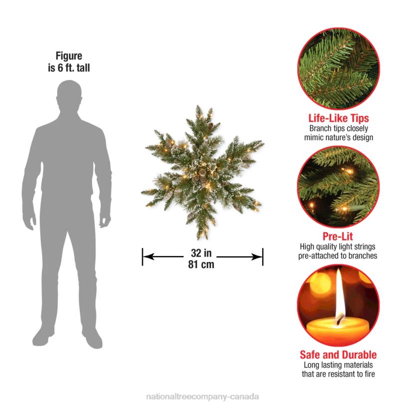 H4X0440National Tree Company Pre-Lit Artificial Christmas Star Wreath, Green, Glittery Bristle Pine, White Lights, Decorated with Pine Cones, Frosted Branches, Christmas Collection, 32 Inches