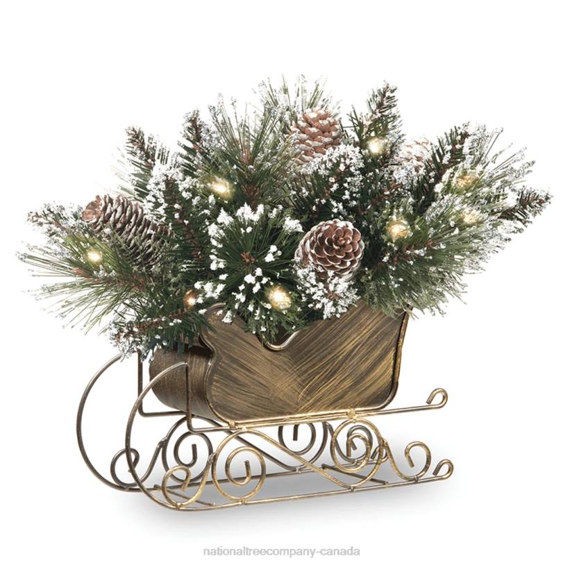 H4X0441National Tree Company 10in Glittery Bristle Pine Sleigh with White Tipped Cones