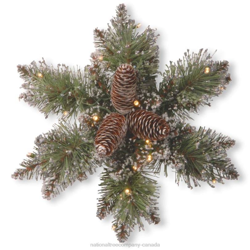 H4X0443National Tree Company Pre-Lit Artificial Christmas Star Wreath, Green, Glittery Bristle Pine, White Lights, Decorated with Pine Cones, Frosted Branches, Christmas Collection, 14 Inches