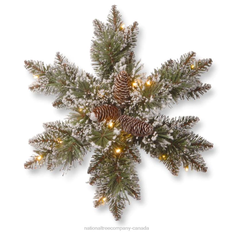 H4X0444National Tree Company Pre-Lit Artificial Christmas Hanging Snowflake, Green, Glittery Bristle Pine, Decorated with Pine Cones, Frosted Branches, Christmas Collection, 18 Inches