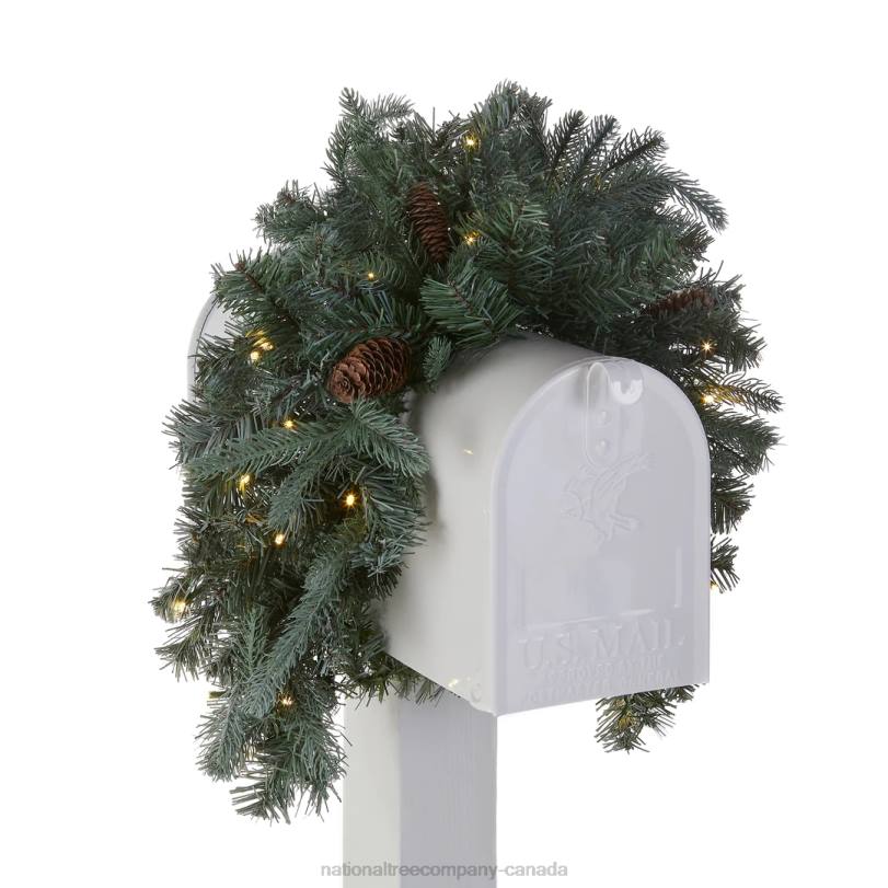 H4X0446National Tree Company Pre-Lit Artificial Mailbox Swag Decoration, Green, Arctic Spruce, LED Lights, Decorated with Pine Cones, Christmas Collection, 3 Feet