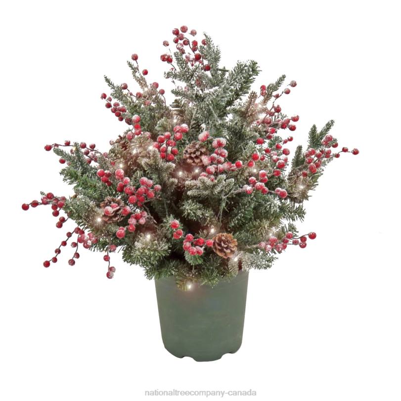 H4X0447National Tree Company 28in HGTV Home Collection Pre-Lit Frosted Traditions Planter Filler