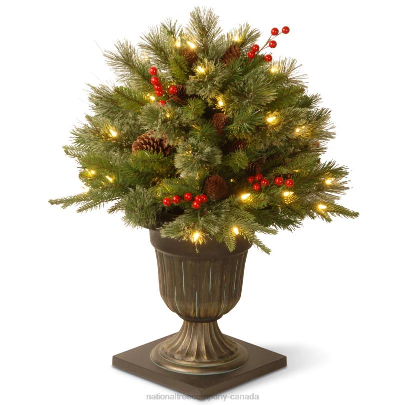 H4X0449National Tree Company 24in Colonial Porch Bush with Clear Lights