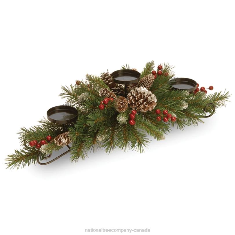 H4X0455National Tree Company 30in. Frosted Berry Centerpiece and Candle Holder
