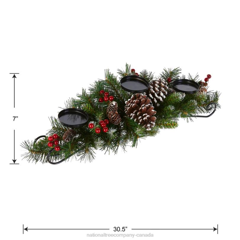 H4X0455National Tree Company 30in. Frosted Berry Centerpiece and Candle Holder