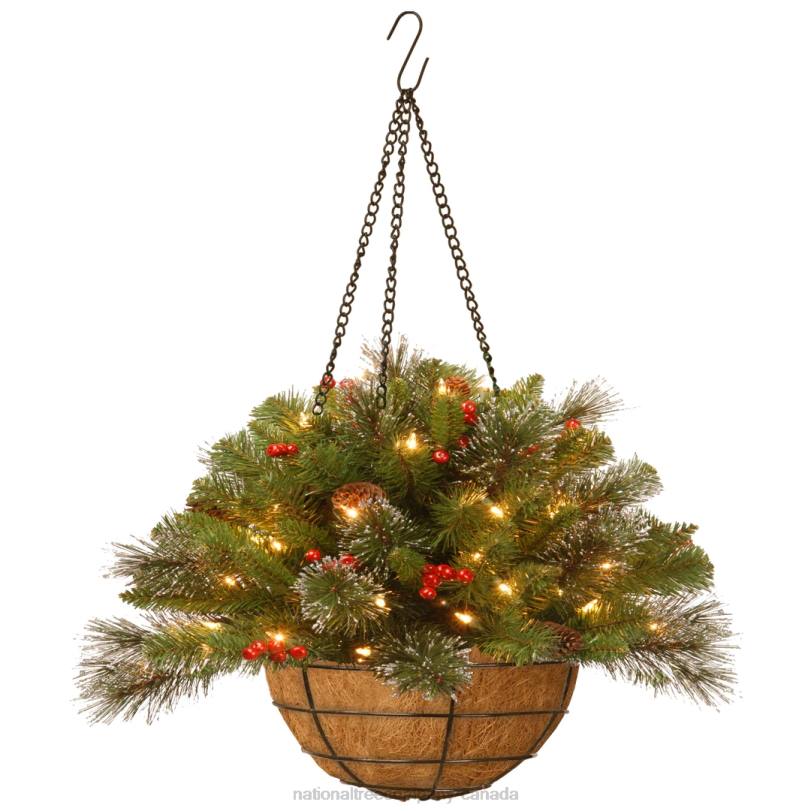 H4X0463National Tree Company Pre-Lit Artificial Christmas Hanging Basket, Crestwood Spruce, Decorated With Frosted Pine Cones, Berry Clusters, White Lights, Christmas Collection, 16 Inches