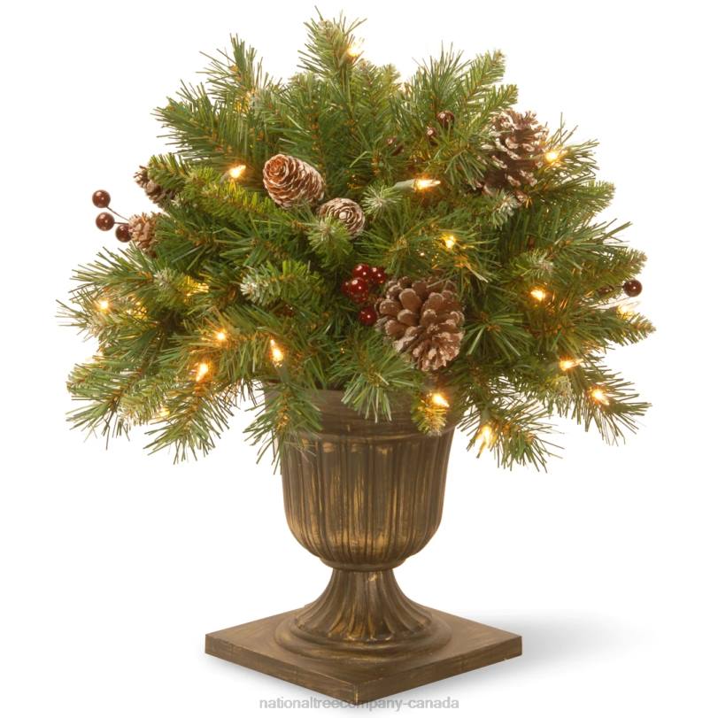 H4X0468National Tree Company 18in Frosted Berry Porch Bush with Clear Lights