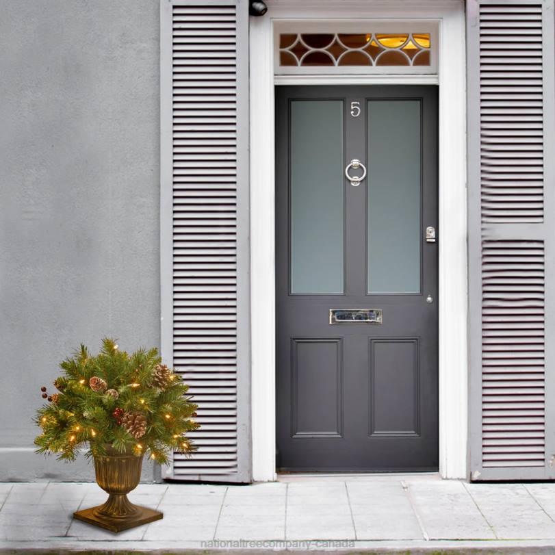 H4X0468National Tree Company 18in Frosted Berry Porch Bush with Clear Lights