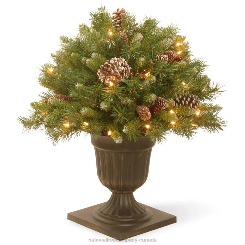 H4X0475National Tree Company 24in Frosted Berry Porch Bush with Clear Lights
