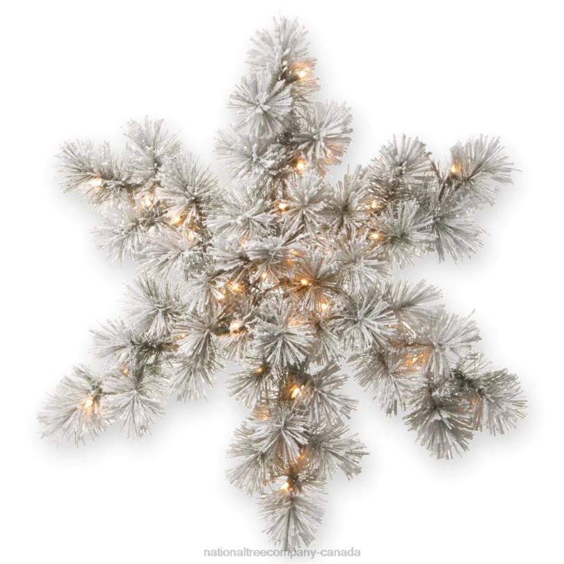 H4X0478National Tree Company Pre-Lit Artificial Christmas Hanging Snowflake, Green, Snowy Bristle Pine, Decorated with Frosted Branches, Christmas Collection, 32 Inches