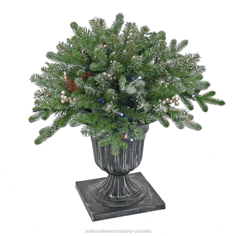 H4X0492National Tree Company 24in Snowy Morgan Spruce Porch Bush with Twinkly LED Lights
