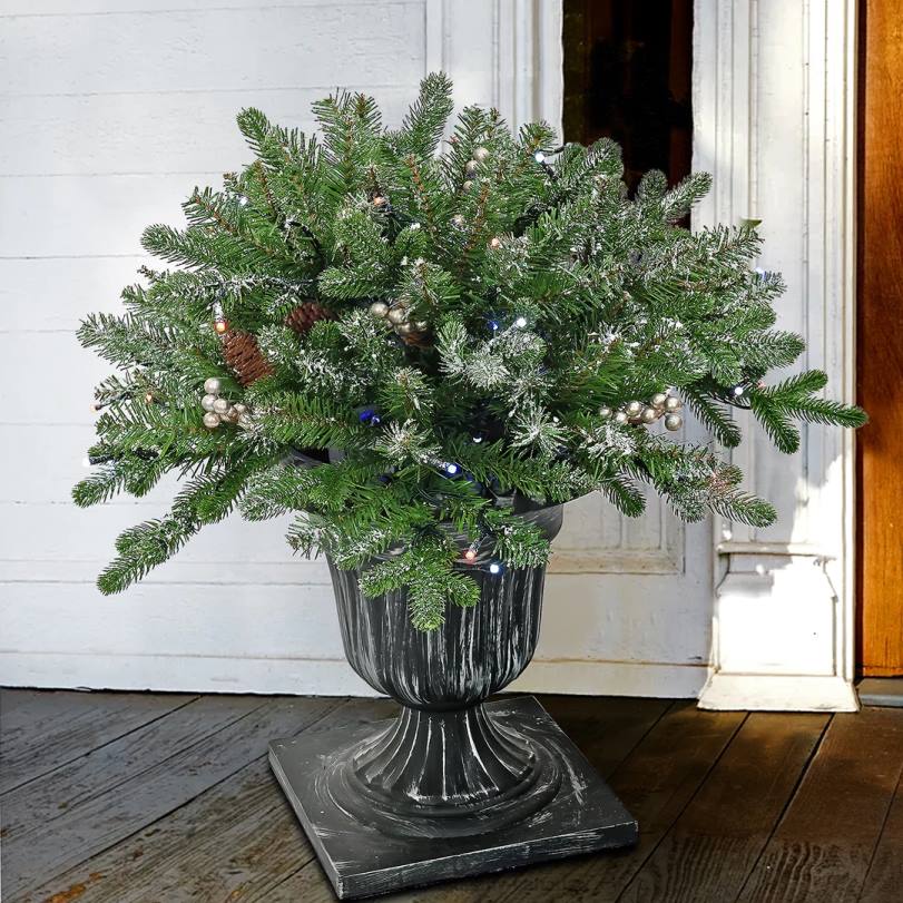 H4X0492National Tree Company 24in Snowy Morgan Spruce Porch Bush with Twinkly LED Lights
