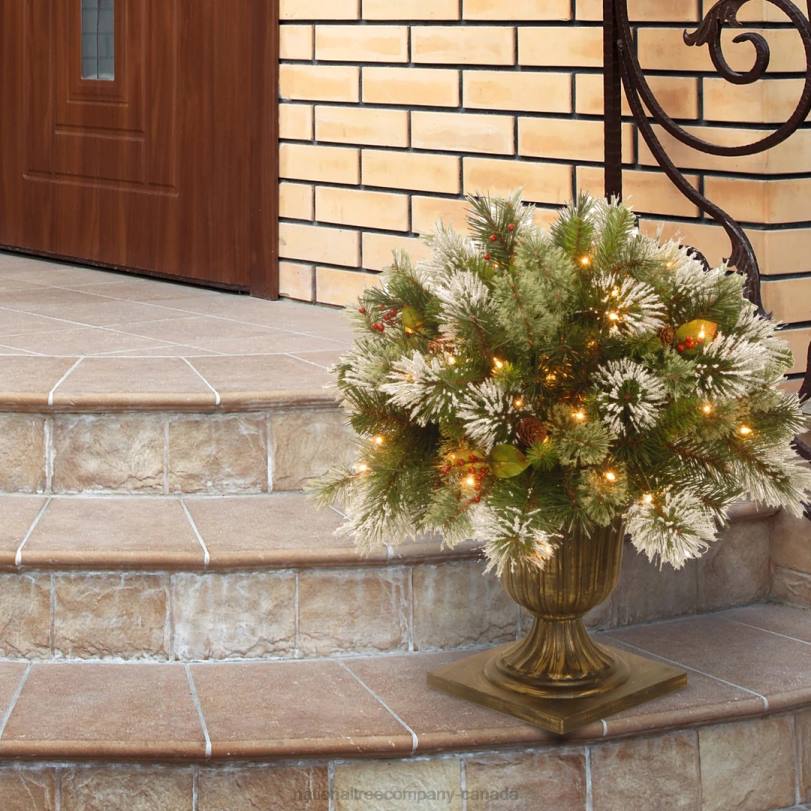 H4X0493National Tree Company 24in Wintry Pine(R) Porch Bush with Clear Lights