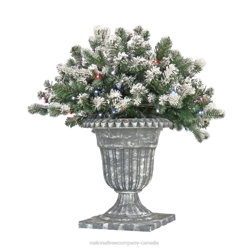 H4X0494National Tree Company 24in Snowy Sheffield Spruce Porch Bush with Twinkly LED Lights