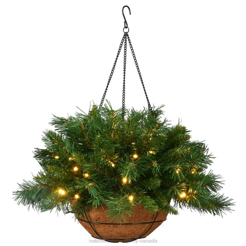 H4X0509National Tree Company Pre-Lit Artificial Christmas Hanging Basket, Tiffany Fir, Decorated With Frosted Pine Cones, Berry Clusters, White Lights, Christmas Collection, 20 Inches
