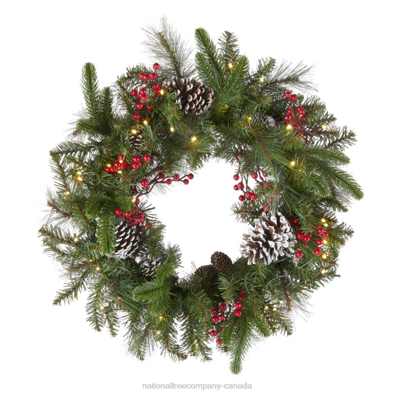 H4X0221National Tree Company Pre-Lit Artificial Christmas Wreath, Green, Bristle Berry Pine, White Lights, Decorated with Frosted Branches, Pine Cones, Berry Clusters, Christmas Collection, 24 Inches