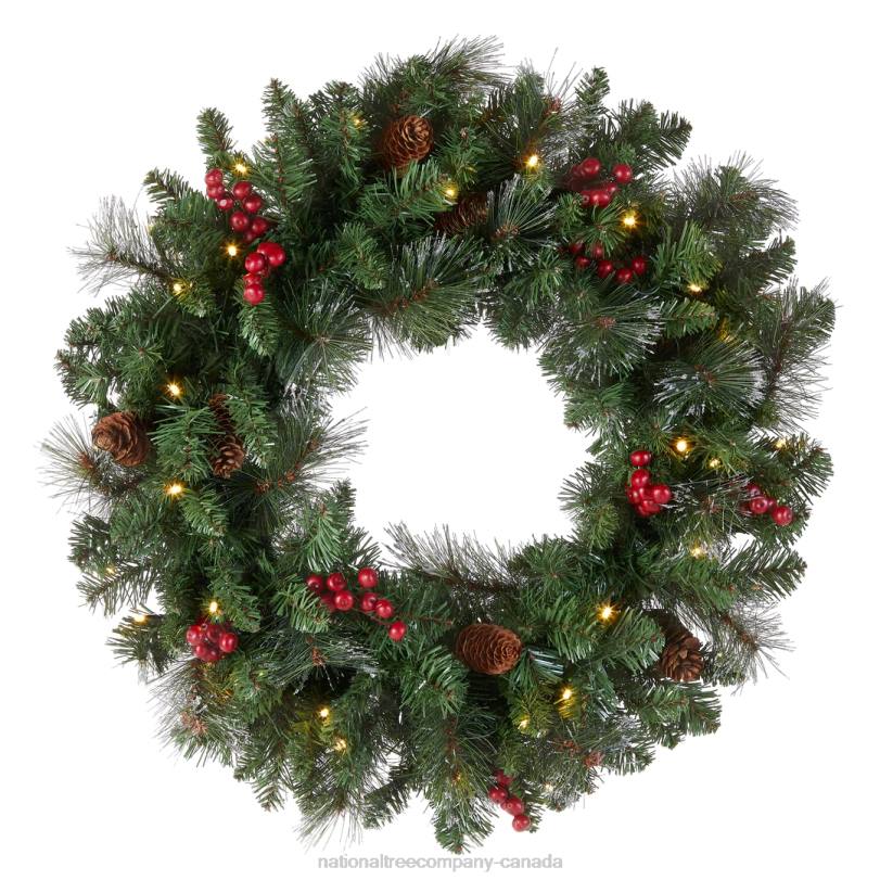 H4X0224National Tree Company Pre-Lit Artificial Christmas Wreath, Green, Crestwood Spruce, White Lights, Decorated with Pine Cones, Berry Clusters, Frosted Branches, Christmas Collection, 24 Inches