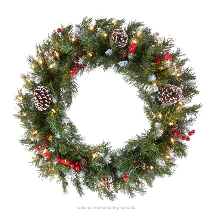 H4X0225National Tree Company Pre-Lit Artificial Christmas Wreath, Green, Frosted Berry, White Lights, Decorated with Pine Cones, Berry Clusters, Frosted Branches, Christmas Collection, 24 Inches