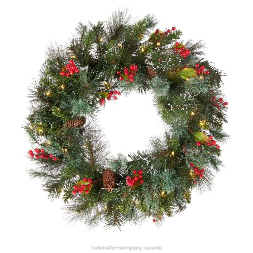 H4X0226National Tree Company Pre-Lit Artificial Christmas Wreath, Green, Crestwood Spruce, White Lights, Decorated with Pine Cones, Berry Clusters, Frosted Branches, Christmas Collection, 24 Inches
