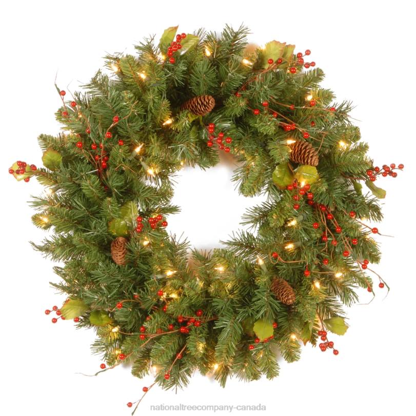 H4X0234National Tree Company Pre-Lit Artificial Christmas Wreath, Green, Classical, White Lights, Decorated with Pine Cones, Berry Clusters, Leaves, Twigs, Christmas Collection, 24 Inches
