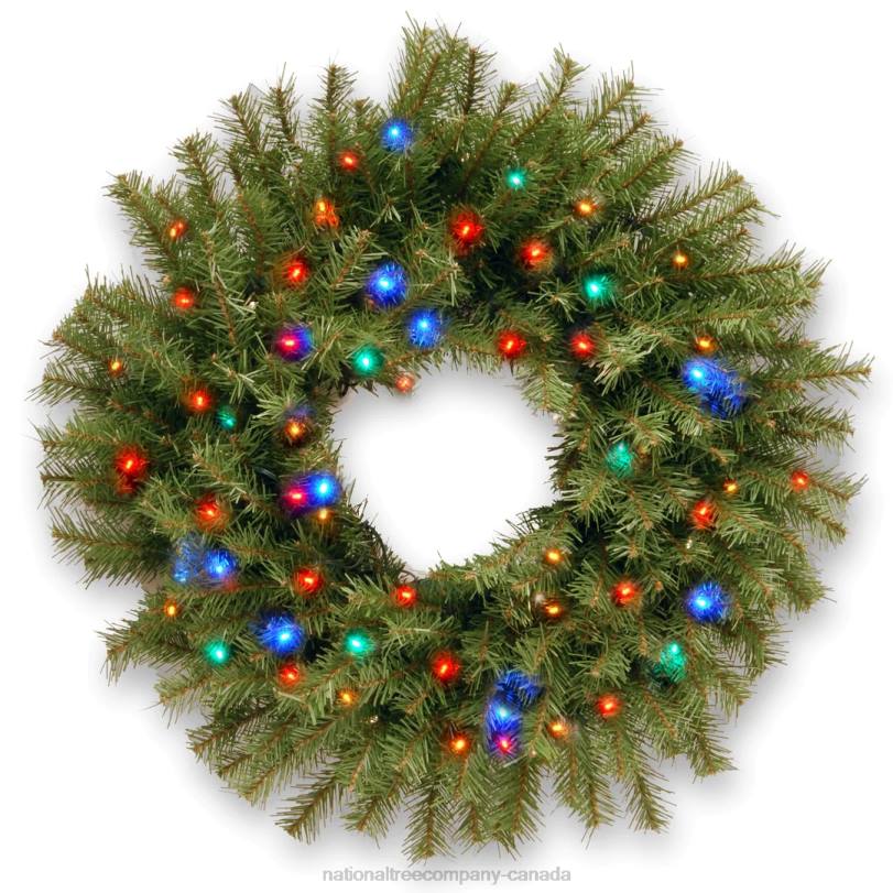 H4X0237National Tree Company Pre-Lit Artificial Christmas Wreath, Green, Norwood Fir, Multicolor Lights, Christmas Collection, 24 Inches