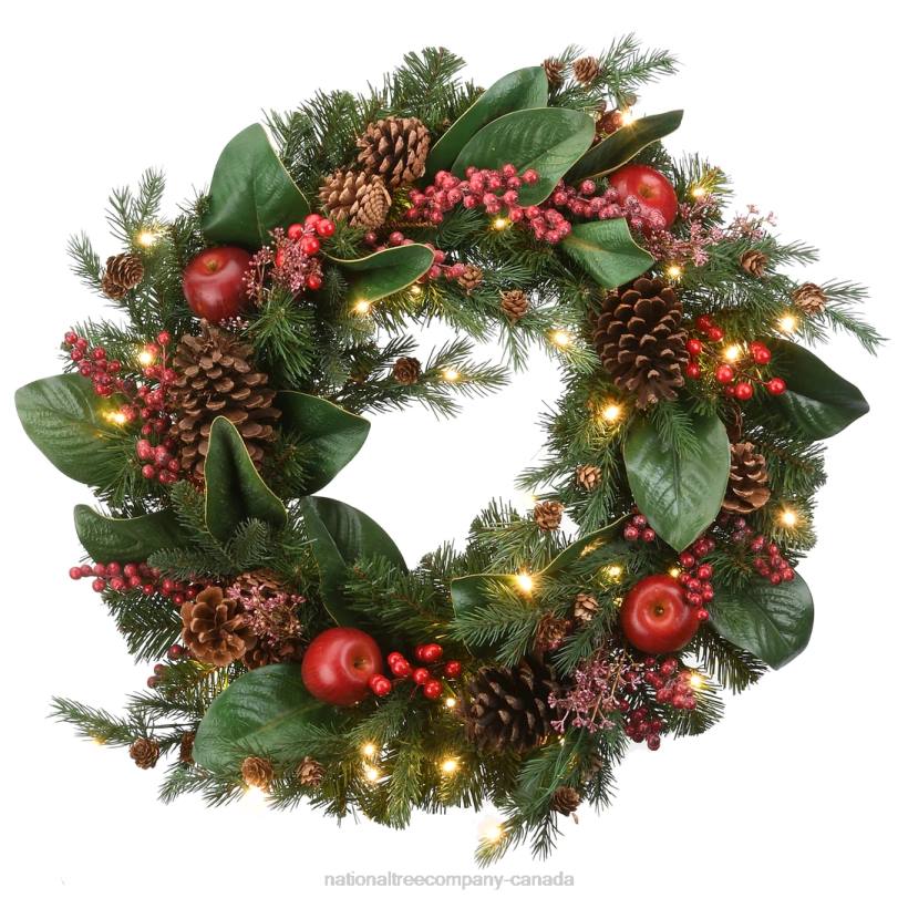 H4X0241National Tree Company 24in Rural Homestead Wreath with LED Lights