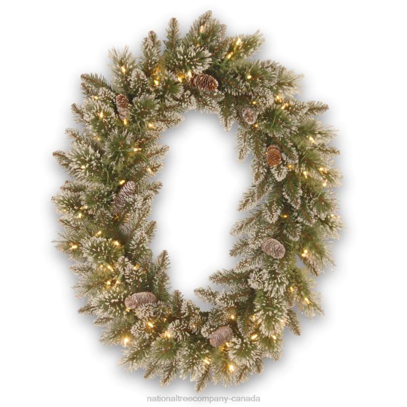 H4X0244National Tree Company Pre-Lit Artificial Christmas Oval Wreath, Green, Glittery Bristle Pine, White Lights, Decorated with Pine Cones, Frosted Branches, Christmas Collection, 21 Inches