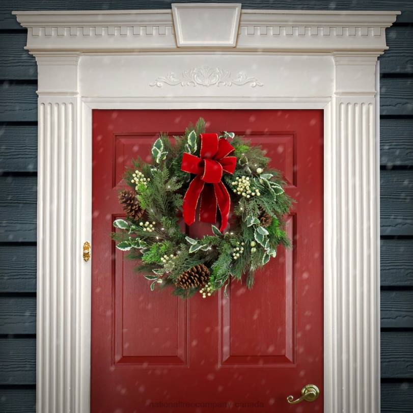 H4X0248National Tree Company 22in HGTV Home Collection Pre-Lit Holly and Berry Wreath