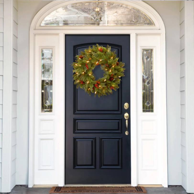 H4X0254National Tree Company Pre-Lit Artificial Christmas Wreath, Green, Noelle, White Lights, Decorated with Pine Cones, Berry Clusters, Christmas Collection, 24 Inches