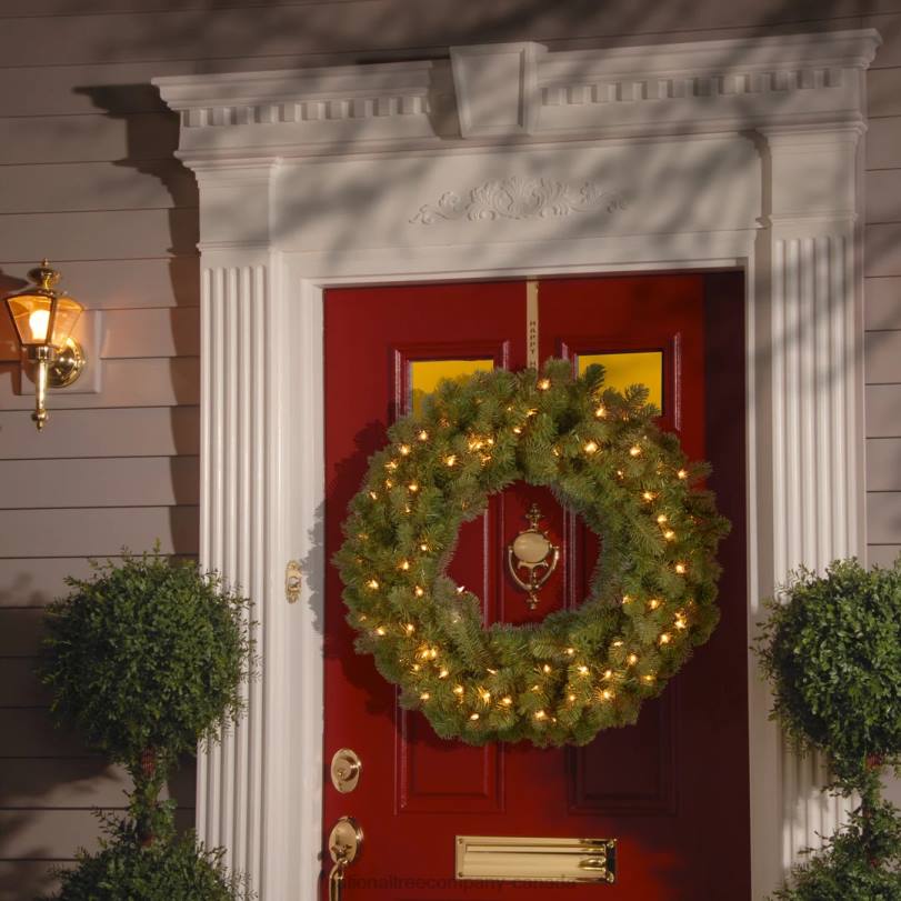 H4X0256National Tree Company Pre-Lit Artificial Christmas Wreath, Green, Downswept Douglas Fir, White Lights, Christmas Collection, 24 Inches