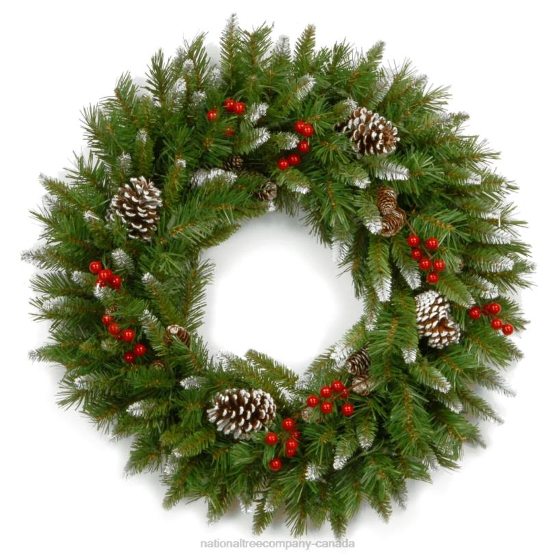 H4X0268National Tree Company 24in. Frosted Berry Wreath