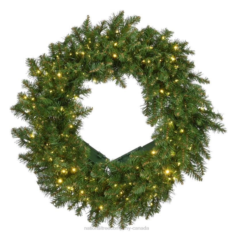 H4X0284National Tree Company Pre-Lit Artificial Christmas Wreath, Green, Kingswood Fir, White Lights, Christmas Collection, 24 Inches