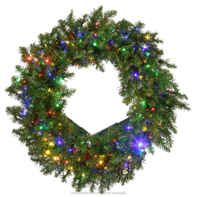 H4X0284National Tree Company Pre-Lit Artificial Christmas Wreath, Green, Kingswood Fir, White Lights, Christmas Collection, 24 Inches
