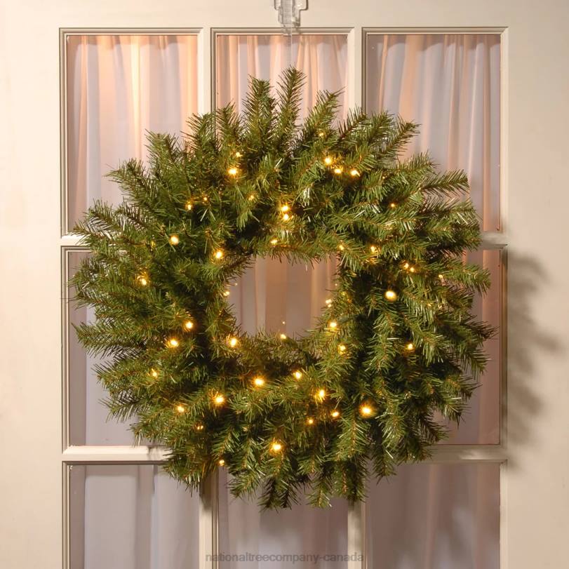 H4X0289National Tree Company Pre-Lit Artificial Christmas Wreath, Norwood Fir with Twinkly LED Lights, Plug in, 24 in