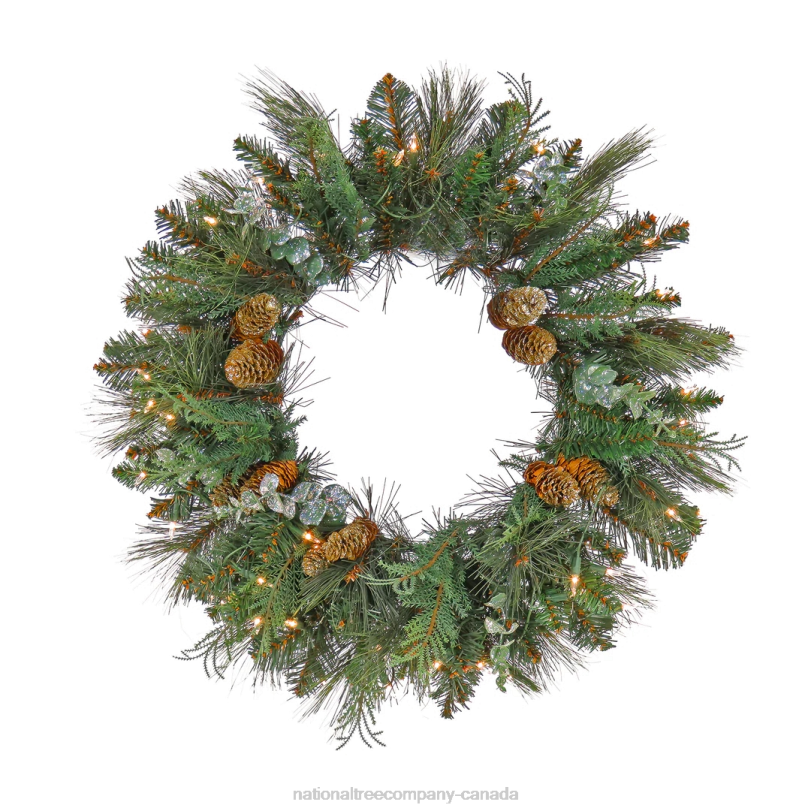 H4X0291National Tree Company First Traditions Collection, 24in Pre-Lit Artificial North Conway Wreath with Glittery Cones and Eucalyptus