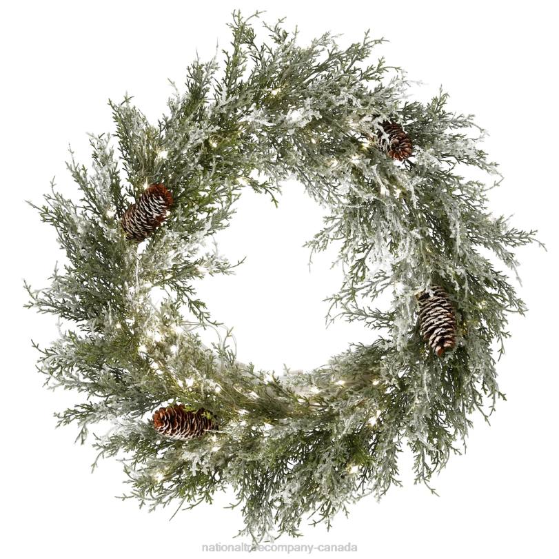 H4X0293National Tree Company 24in Pre-Lit Snowy Christmas Wreath with Pinecones