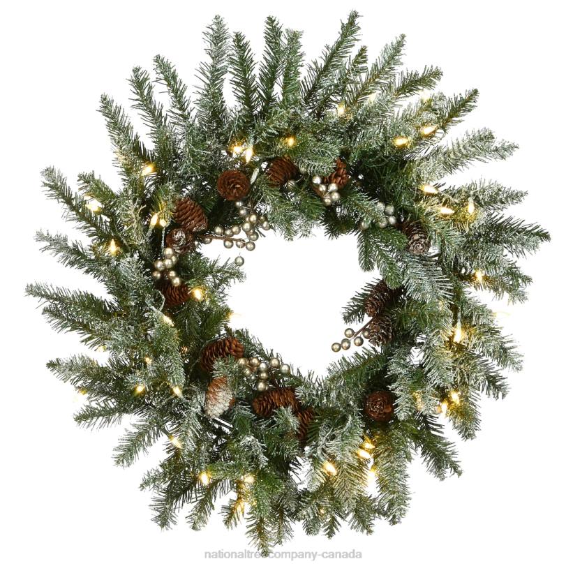 H4X0311National Tree Company Pre-Lit Artificial Christmas Wreath, Green, Snowy Morgan Spruce, White LED Lights, Decorated with Pine Cones, Christmas Collection, 24 Inches