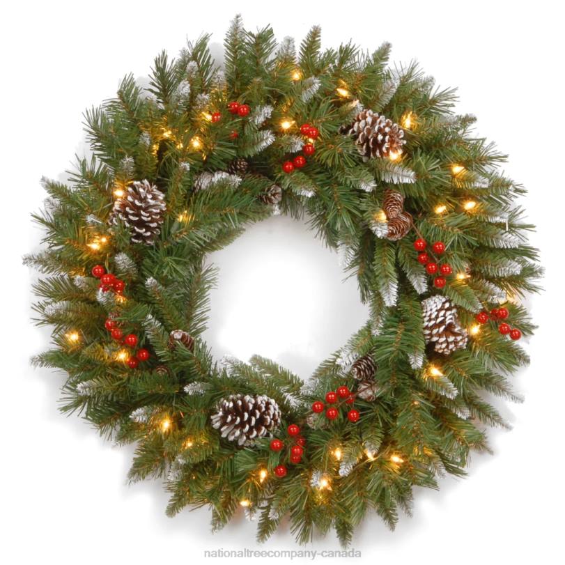 H4X0243National Tree Company Pre-Lit Artificial Christmas Wreath, Green, Frosted Berry, White Lights, Decorated with Pine Cones, Berry Clusters, Frosted Branches, Christmas Collection, 30 Inches