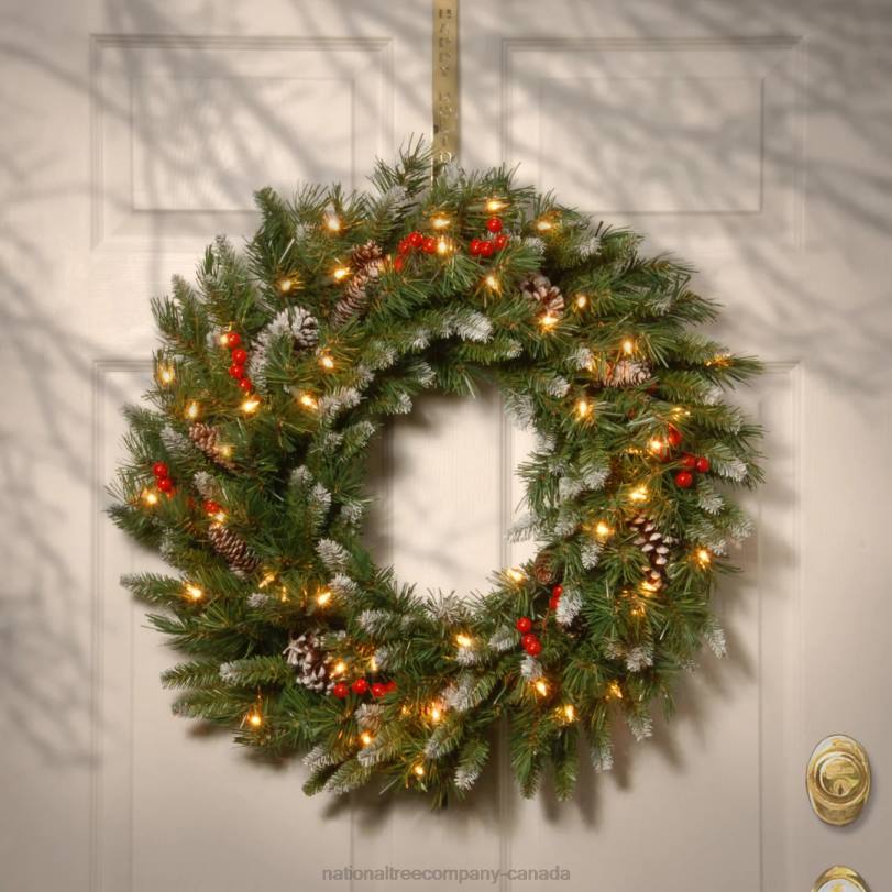 H4X0243National Tree Company Pre-Lit Artificial Christmas Wreath, Green, Frosted Berry, White Lights, Decorated with Pine Cones, Berry Clusters, Frosted Branches, Christmas Collection, 30 Inches