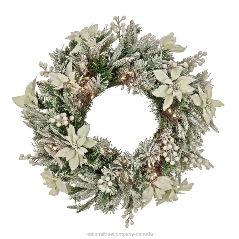 H4X0270National Tree Company Pre-Lit Artificial Christmas Wreath, Frosted Colonial, White LED Lights, Battery Powered, 26 in