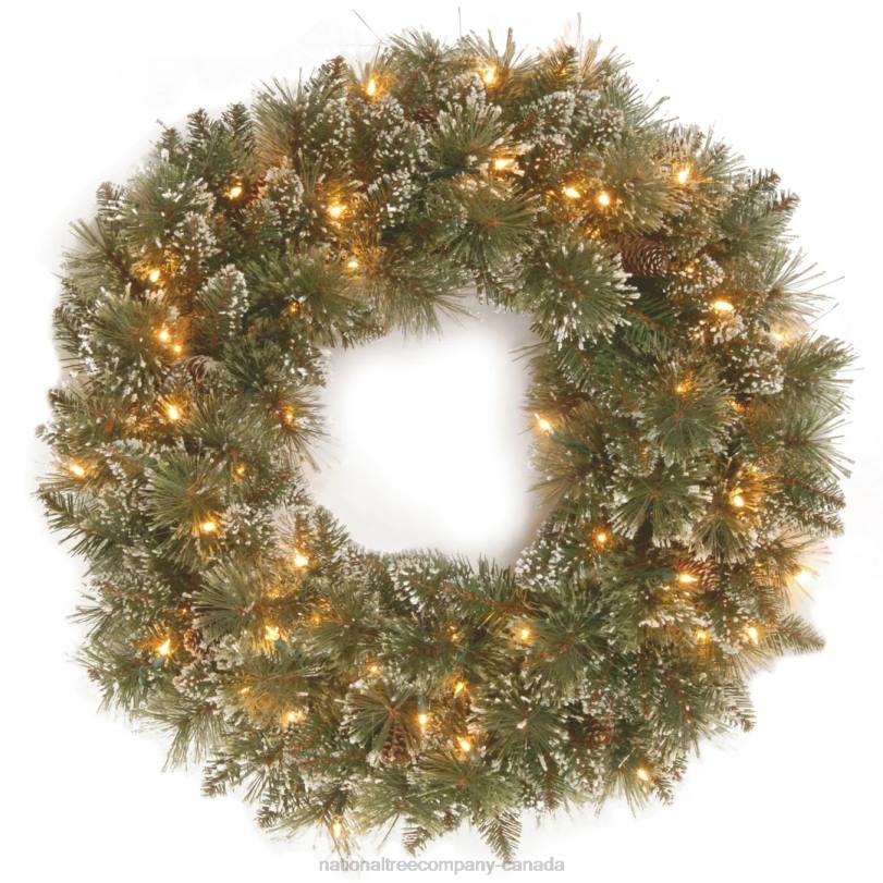H4X0280National Tree Company Pre-Lit Artificial Christmas Wreath, Glittery Bristle Pine with Twinkly LED Lights, Plug in, 30 in