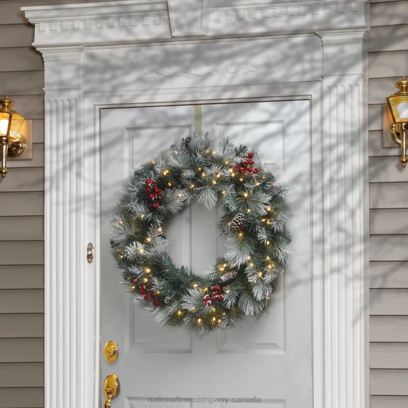 H4X0283National Tree Company Pre-Lit Artificial Christmas Wreath, Green, Snowy Glacier Pine, White Lights, Decorated with Pine Cones, Berry Clusters, Frosted Branches, Christmas Collection, 30 Inches